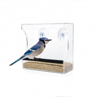 Custom Acrylic Window Bird Feeder with Removable Tray, Drain Holes and 3 Suction Cups